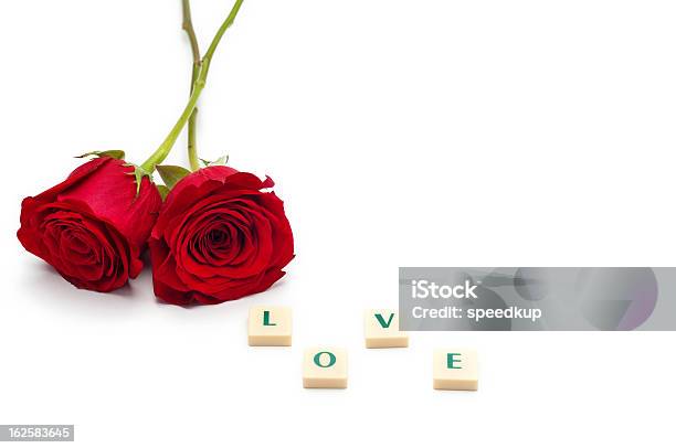 Rosa Vermelha Isolado Em Fundo Branco - Fotografias de stock e mais imagens de Amor - Amor, Aniversário, Aniversário especial