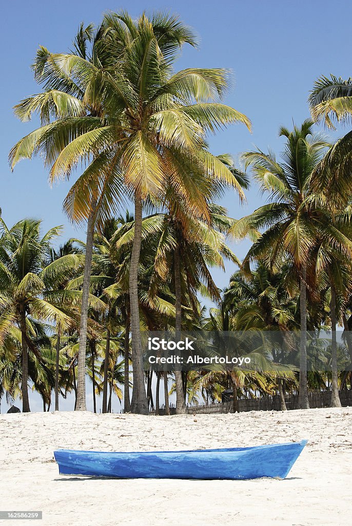 Pangane Beach, Mozambik - Zbiór zdjęć royalty-free (Afryka)