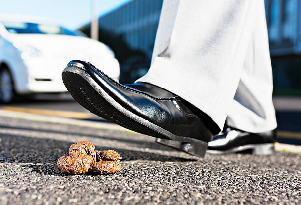 istock Smartly dressed man about to step in dog faeces. Disgusting! 162587110