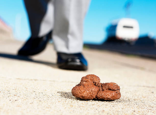 istock Pile of dog faeces in foreground; man's foot approaching 162587207