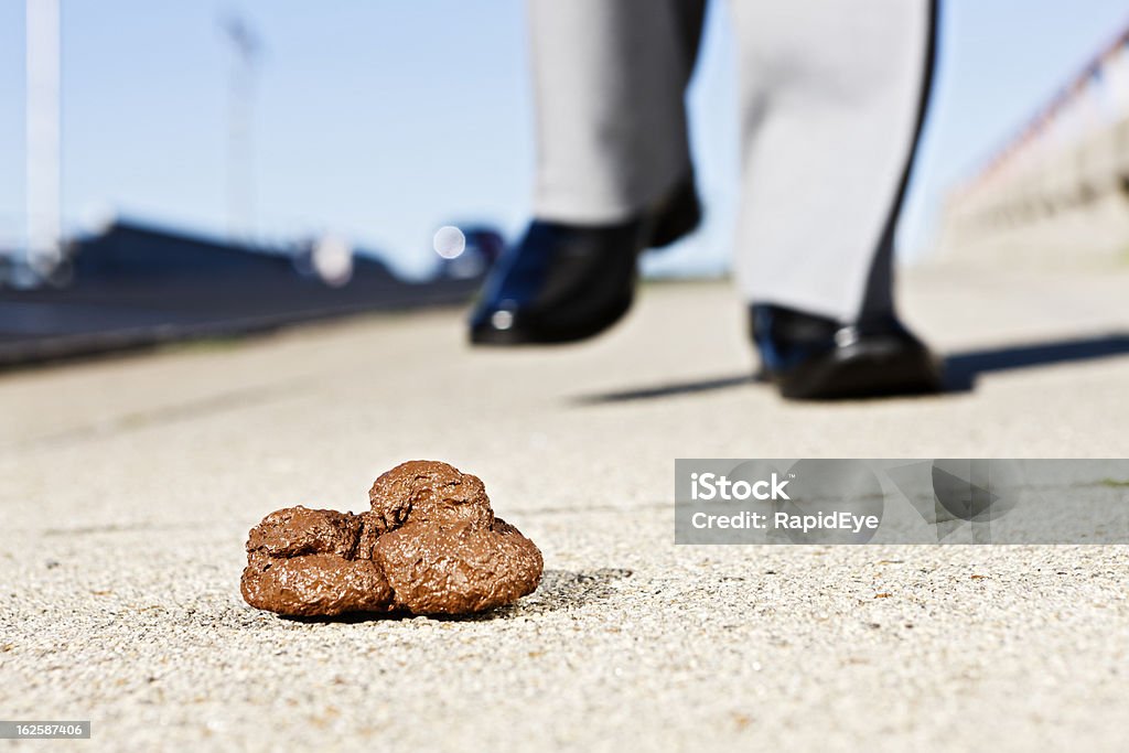 Homme d'affaires est élégamment shod pied s'approcher un tas de chien Matière fécale - Photo de Chien libre de droits