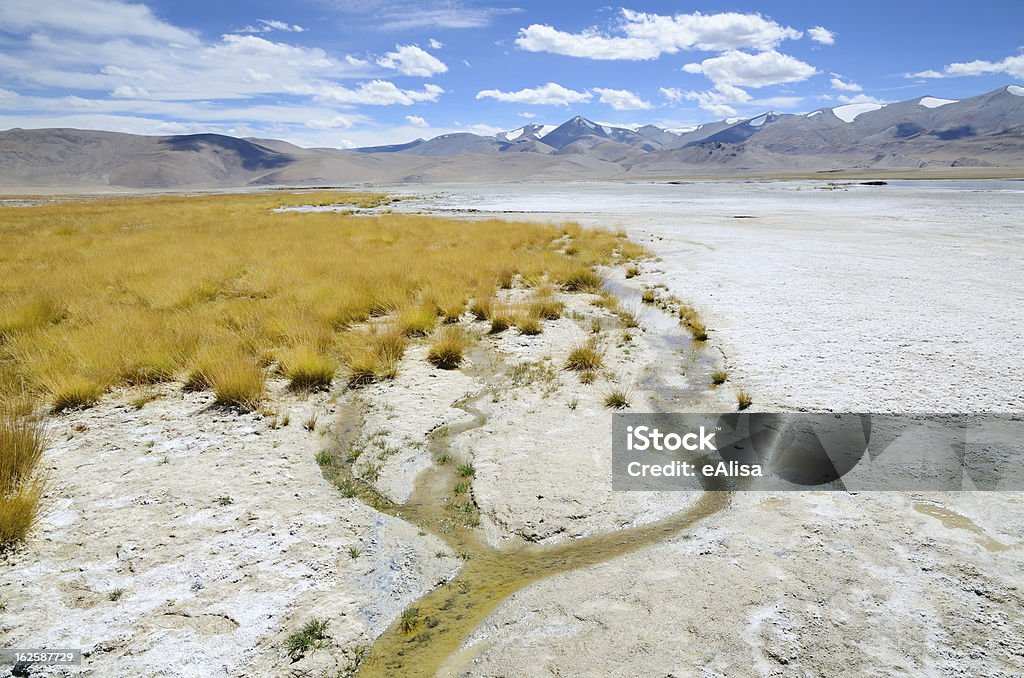 Salt lake in Ladakh Salt lake Tso Kar in Ladakh, India, altitude 4530 metres Asia Stock Photo