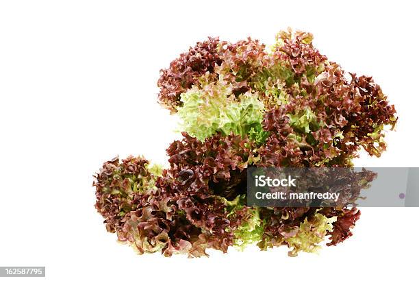 Red Lollo Stock Photo - Download Image Now - Batavia Lettuce, Close-up, Cut Out