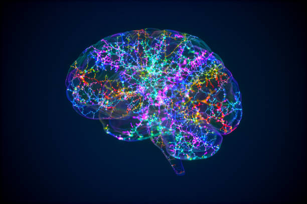 human brain with colorful synapses - axon imagens e fotografias de stock
