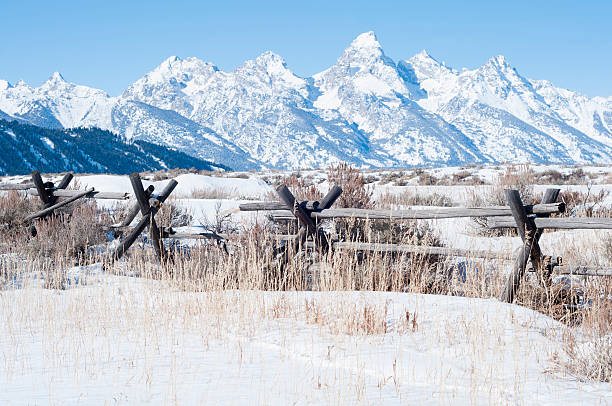 3,200+ Grand Teton National Park Winter Stock Photos, Pictures