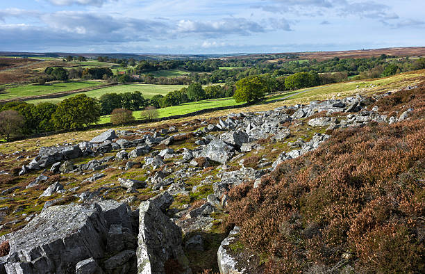 istock Jurassic rocks, heather in bloom, Goathland, Yorkshire, UK. 162589445