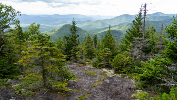 istock View of mountain and forest from Adirondack peak 1625903523