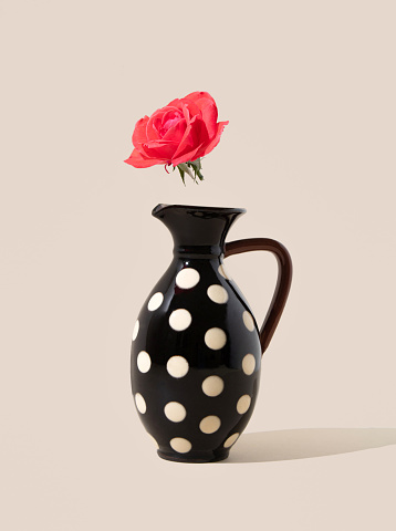 Pastel red wild rose flying above black vase with polka dots. Front view.