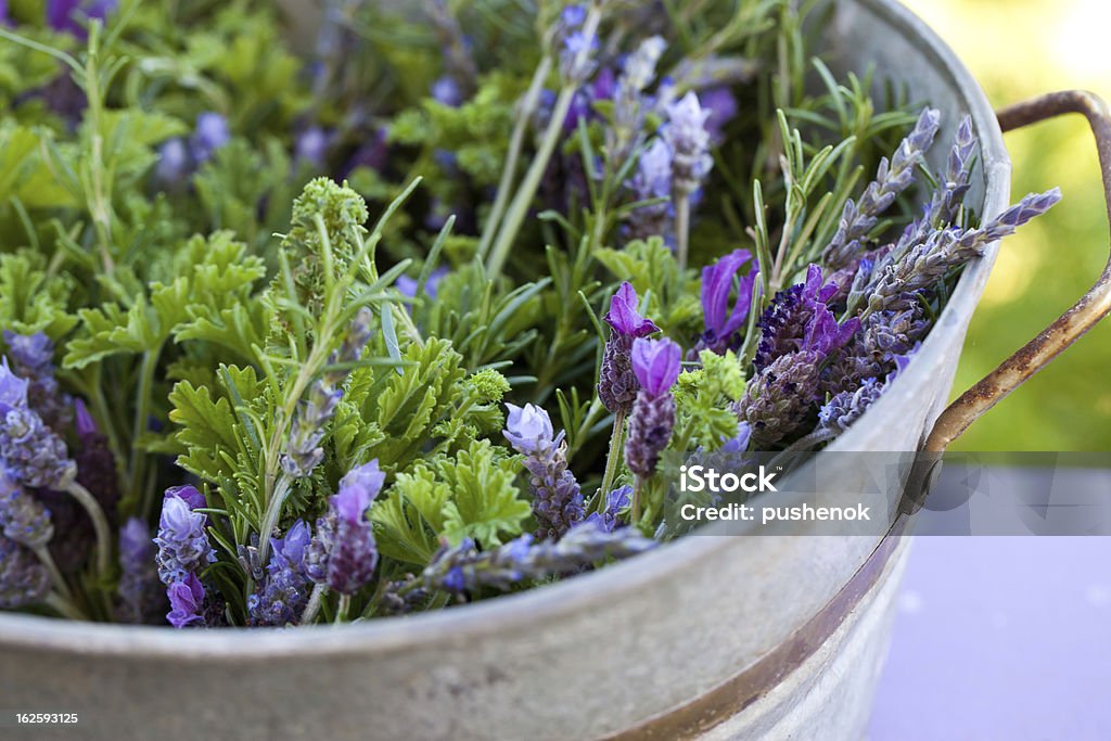 Hierbas aromáticas en cubo galvánico. - Foto de stock de Alimento libre de derechos