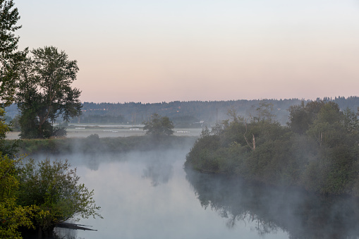 Mist over the Snohomish River on a Summer Morning