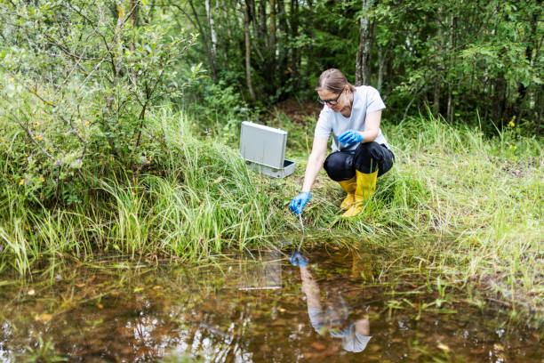 istock Mature woman collected river water sample for analysis 1626008906