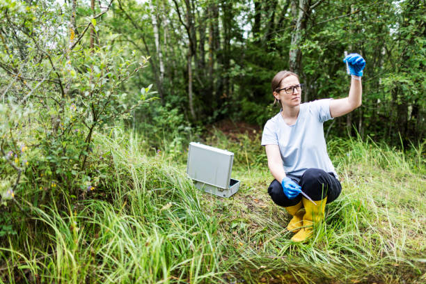 istock Mature woman collected river water sample for analysis 1626020305