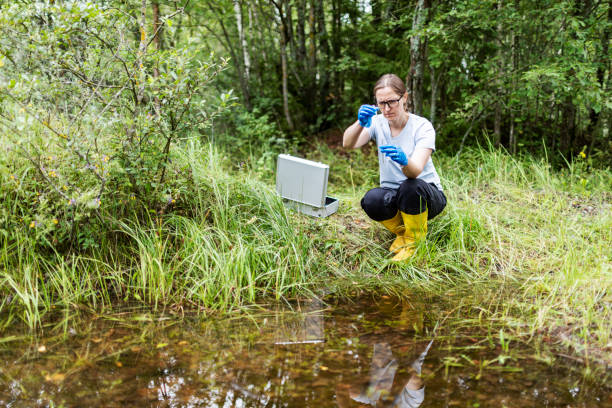 istock Mature woman collected river water sample for analysis 1626020306