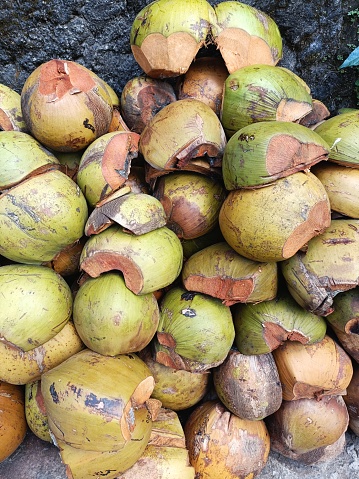 Stacked outer husks from ripe green coconuts ready to dry and shred into coir fiber for use in manufacturing and horticulture