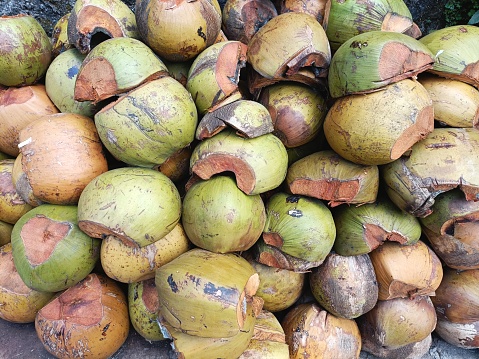 Discarded coconut husks to be dried and shredded for coir fiber for manufacturing and agricultural use