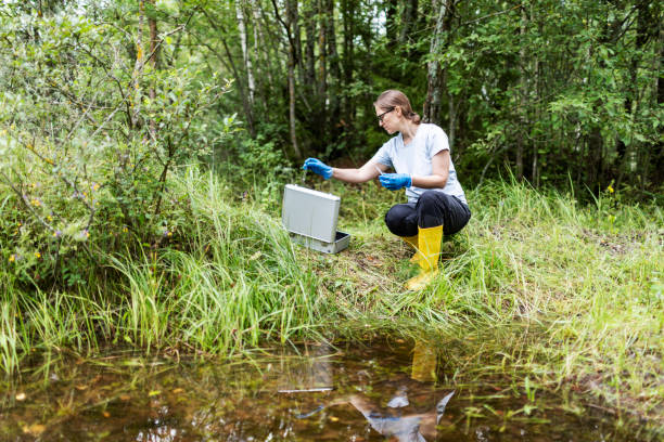 istock Mature woman collected river water sample for analysis 1626031210