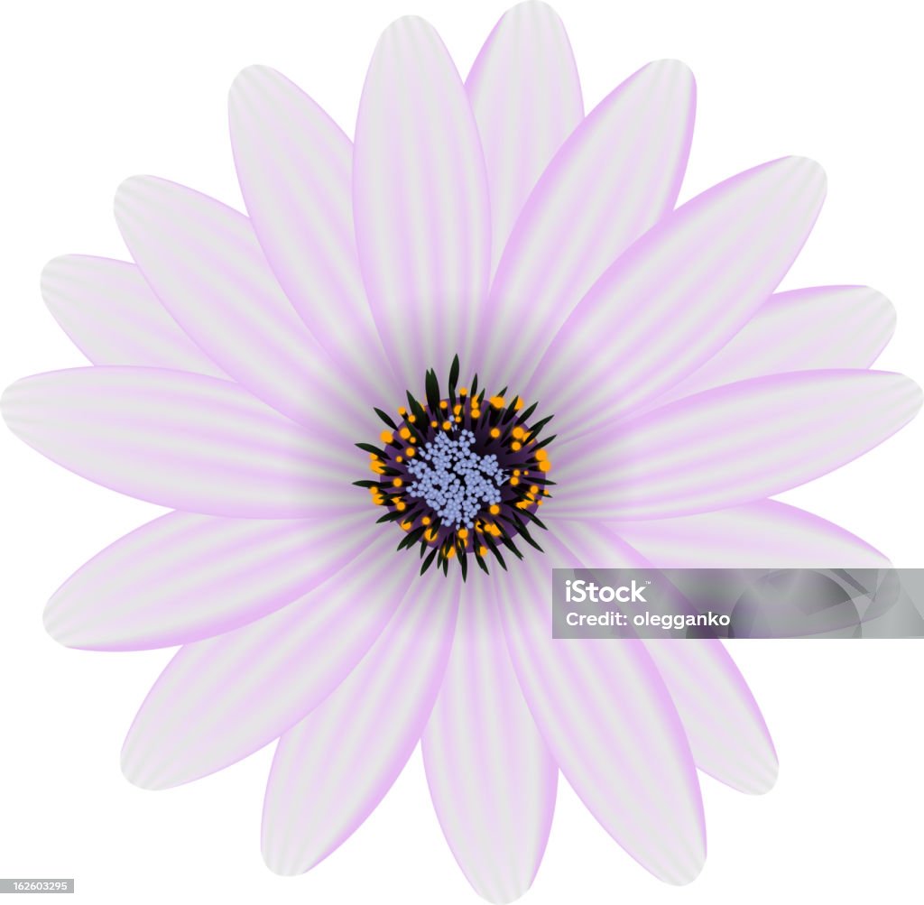 Flores roxas, Isolado no branco, vetor ilustração - Vetor de Abstrato royalty-free