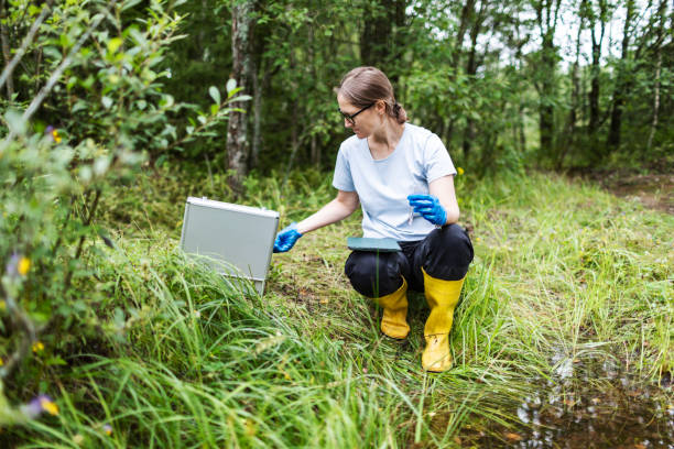 istock Mature woman collected river water sample for analysis 1626037860
