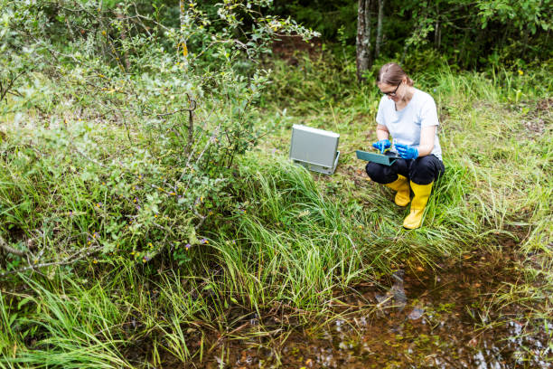 istock Mature woman collected river water sample for analysis 1626038897