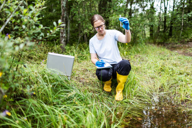 istock Mature woman collected river water sample for analysis 1626041027