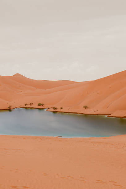 istock An oasis in the desert 1626105825
