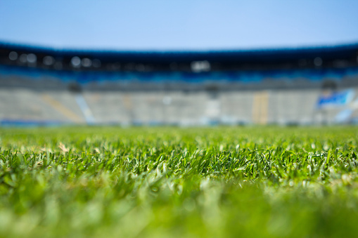 stadium, close up on grass