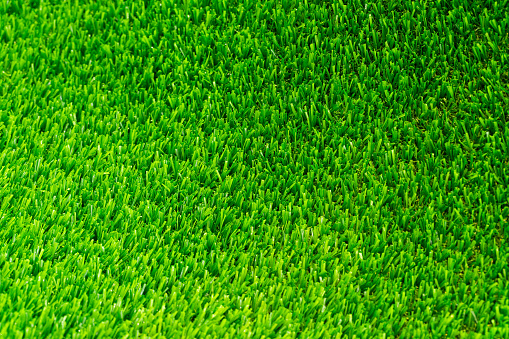 Green grass texture