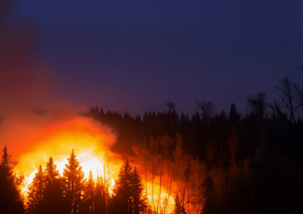 istock Countryside forest with cloudy sky covered by fire and smoke during the evening 1626155312