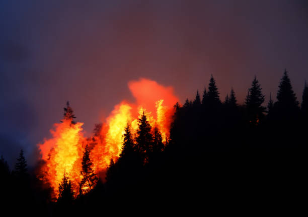 istock Countryside forest with cloudy sky covered by fire and smoke during the evening 1626155777