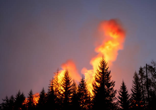 Countryside forest with cloudy sky covered by fire and smoke during the evening