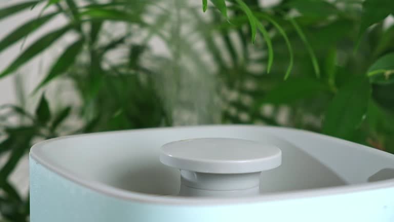 The ultrasonic humidifier releases cold steam. Care and hydration of plants in dry air.