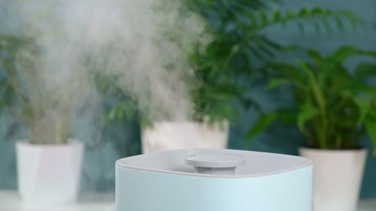 The ultrasonic humidifier releases cold steam. Care and hydration of plants in dry air.