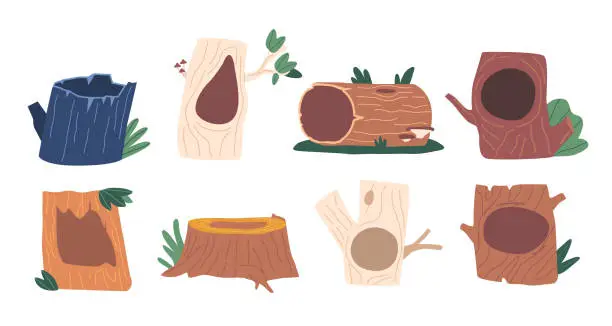 Vector illustration of Set of Tree Hollows, Natural Cavity Or Opening In A Tree Trunk Or Branch, Often Providing Shelter Or Nesting Sites