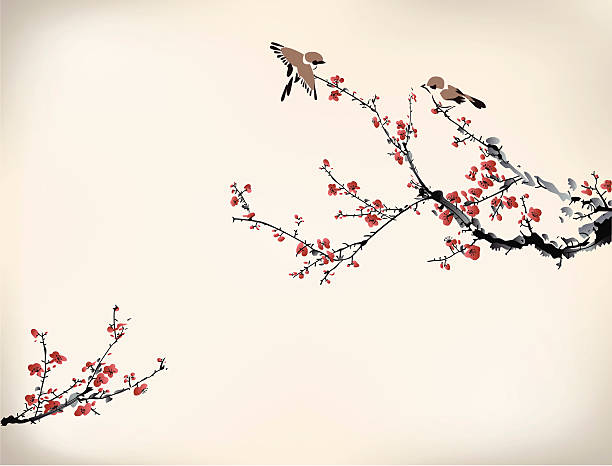 Digital drawing of birds in a Japanese cherry tree in winter birds and winter sweet flowering plum stock illustrations