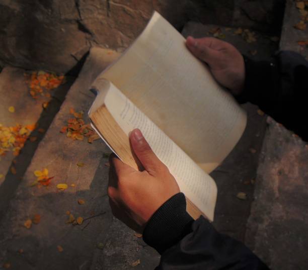 a thick book that is held and opened, and read. against an outdoor backdrop. for backgrounds or wallpapers