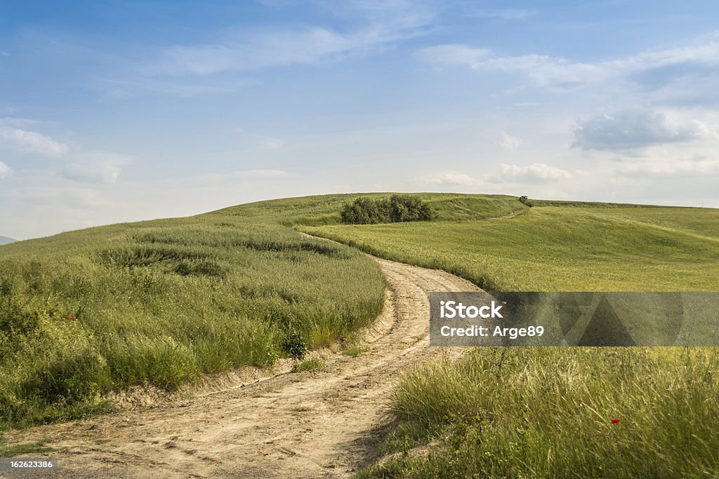 Paisagem em Val d'Orcia - Royalty-free Amarelo Foto de stock