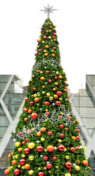 istock Outdoor shiny Christmas tree at city square 1626246562