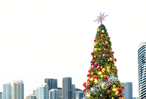 Decorated large outdoor Christmas tree with colorful lights and ornaments