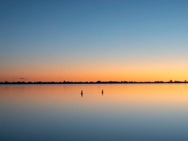 Grass and reed glow in the sunset light on the edge of Lake Boga near Swan Hill