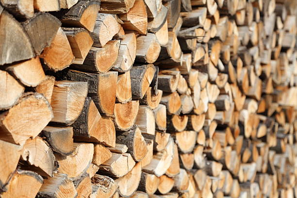 istock wood piles for firewood 162629548