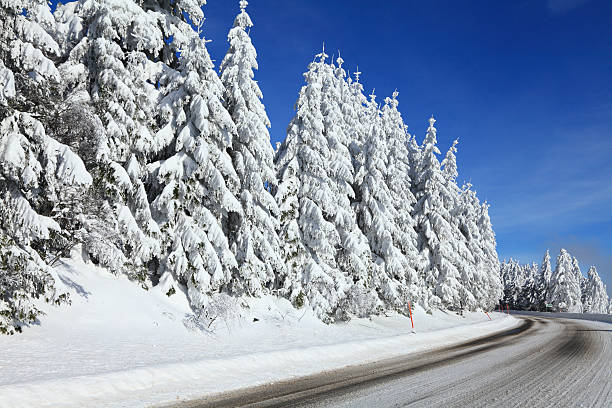 istock snowy winter landscape in Black Forest with street 162629568