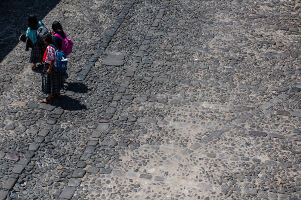 Santiago Atitlan, Guatemala -  April 19, 2019: Dog walks over temporary dyed sawdust carpet in front of Good Friday procession in Lake Atitlan town.