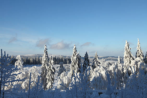 istock wonderful winter landscape 162629700