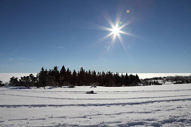 winter landscape with sun in front of blue sky and lensflares