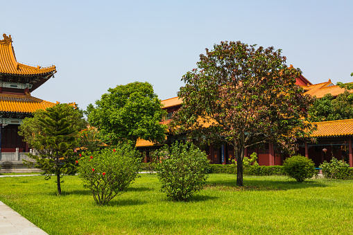 Lumbini is a sacred site in Nepal, known as the birthplace of Buddha. It has the Maya Devi Temple and a peaceful garden. Many Buddhists visit to pay respects and meditate. Lumbini is a place of great spiritual significance and a UNESCO World Heritage site.