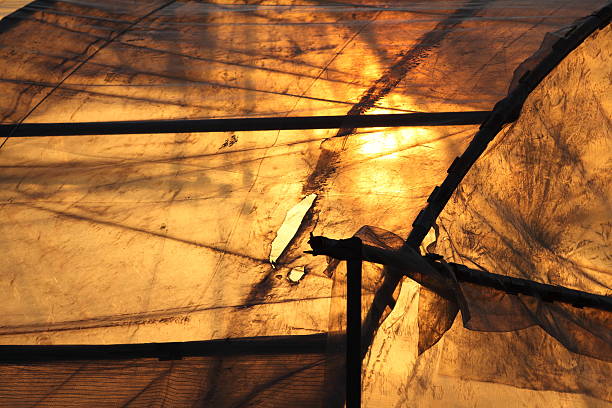 istock Detail of tent with sunlight 162631871