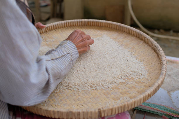 istock woman winnowing rice using a traditional basket 1626352692