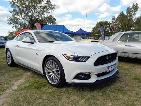 Chascomus, Argentina - Apr 15, 2023: White sport muscle car Ford Mustang GT 5.0 coupe on the lawn. Nature, grass, trees. Sunny day. CAACMACH 2023 show.