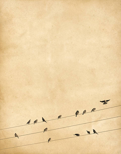 istock Textured paper with birds on wires 162637651
