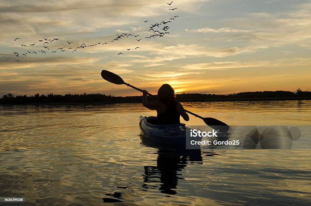 Woman Kayaking at Sunset on Lake Ontario Woman kayaking on Lake Ontario at sunset with a flock of geese flying in the distance Kayaking Stock Photo